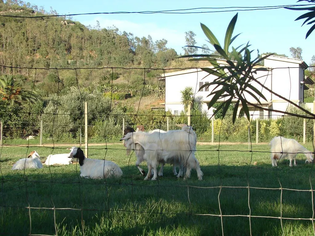 Domus Piras Guest House Cardedu